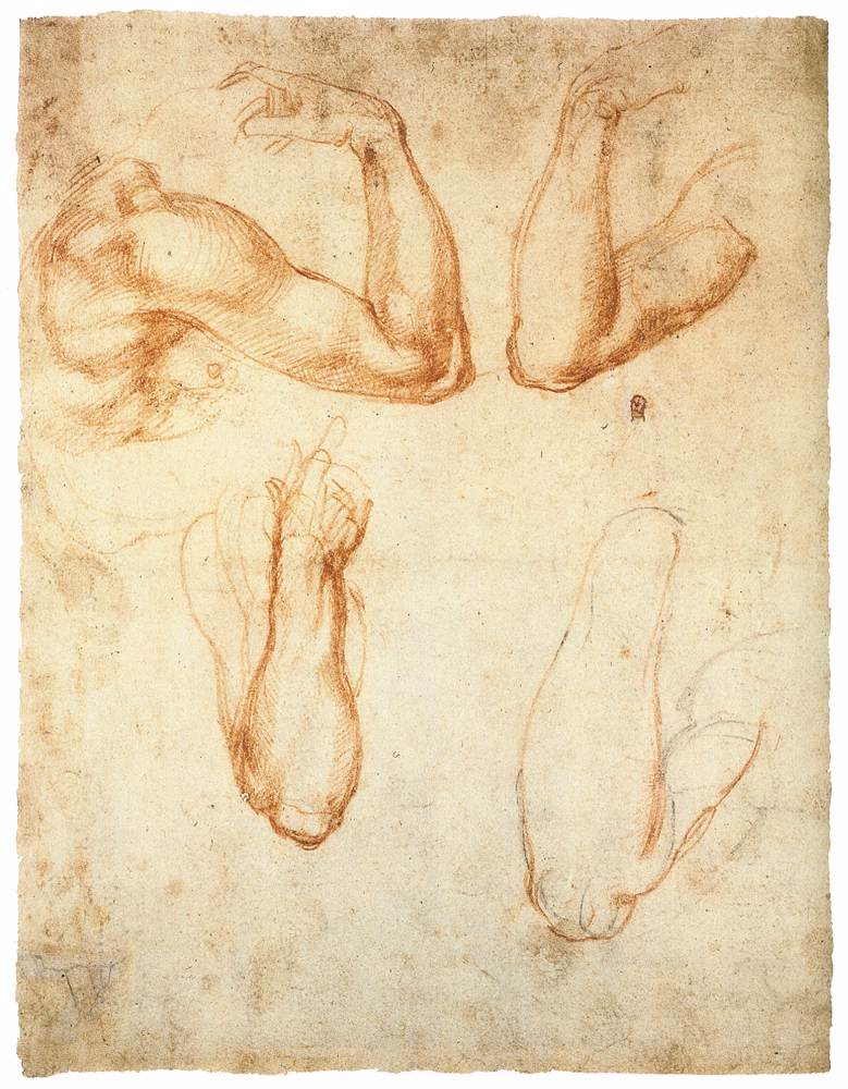 Michelangelo-Buonarroti (18).jpg